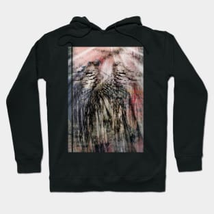 Fallen Angel Wings Hoodie